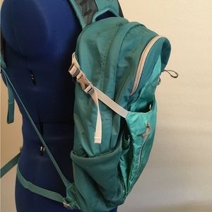 Osprey Day Backpack